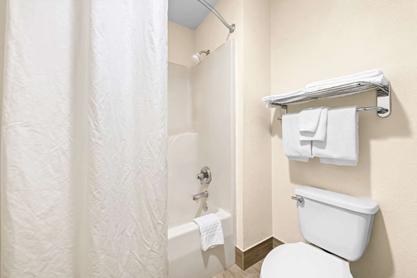 Two Queen Guest Bathroom