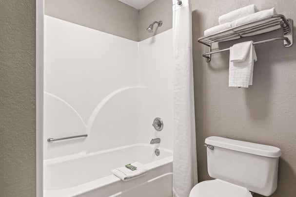 Double Queen - Guest Bath