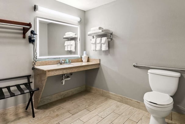 ADA King - Guest Bath