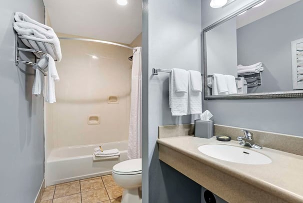 Apartment Queen Guest Bathroom