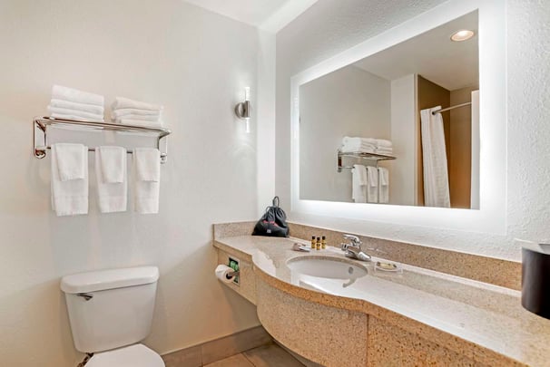 Two Queen Suite Bathroom