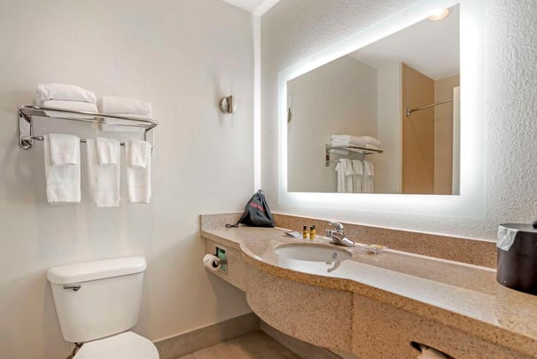 Suite King Bathroom