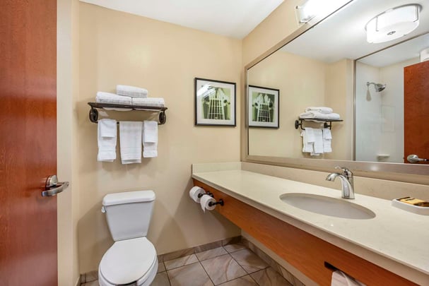 King Guest Bathroom