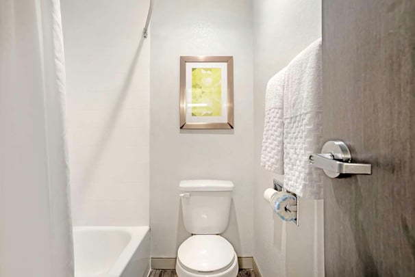 Two Queen Guest Bathroom