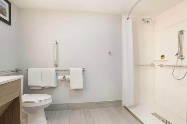 ADA Roll In Shower