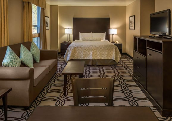 One King Guest Room with Sofabed