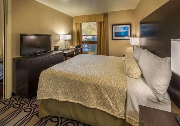 One King Guest Suite