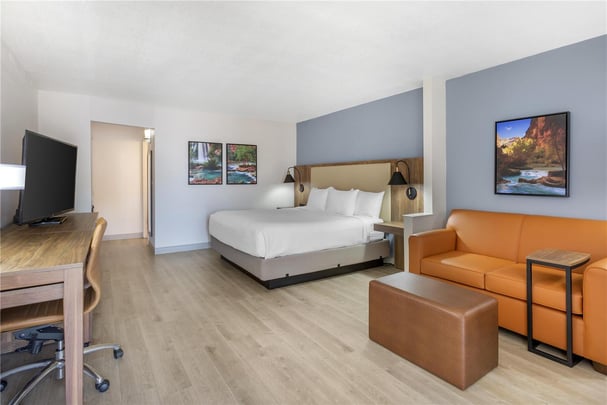 Suite - 1 King Bed - Pet Friendly