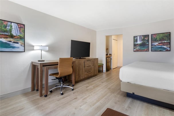 Suite - 1 King Bed - Pet Friendly