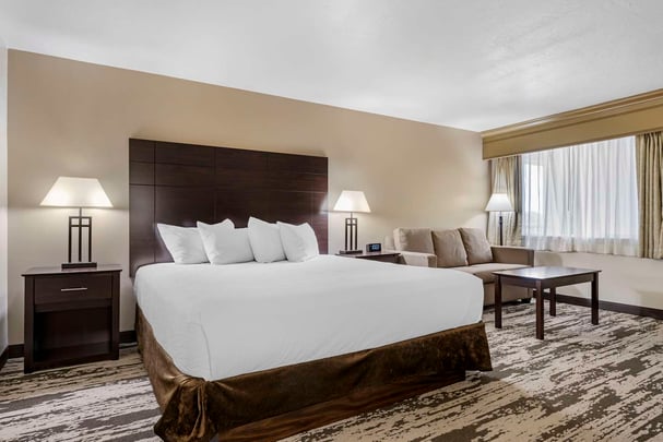 King Large Room Sofabed