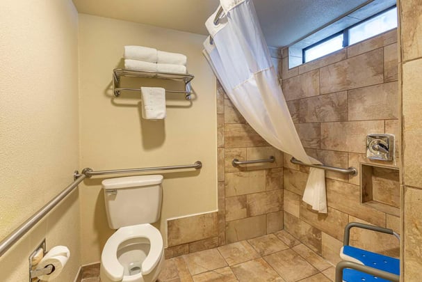 ADA Roll-In Shower