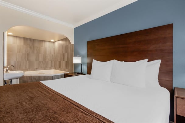 Suite - 1 King Bed w/ Jacuzzi and Sofabed