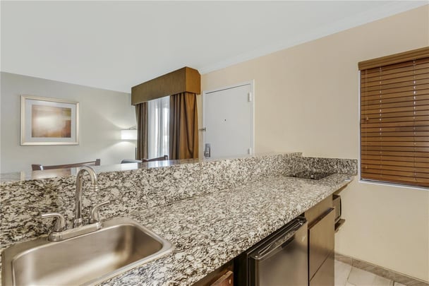 Suite - 1 King Bed w/ Jacuzzi and Sofabed