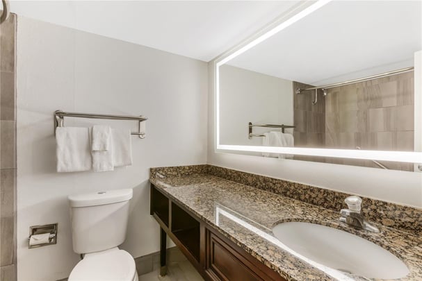 Suite - 1 King Bed w/ Jacuzzi