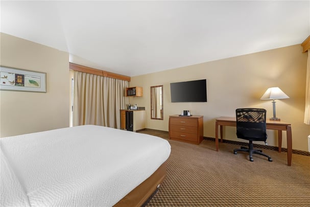 Suite - 1 King Bed with Patio