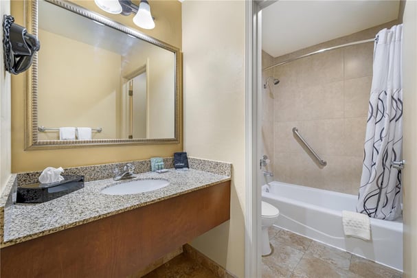 Suite - 1 King Bed with Patio