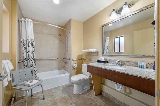 ADA - Suite - 1 King Bed with Patio