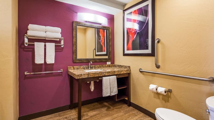 King Mobility Accessible Guest Room