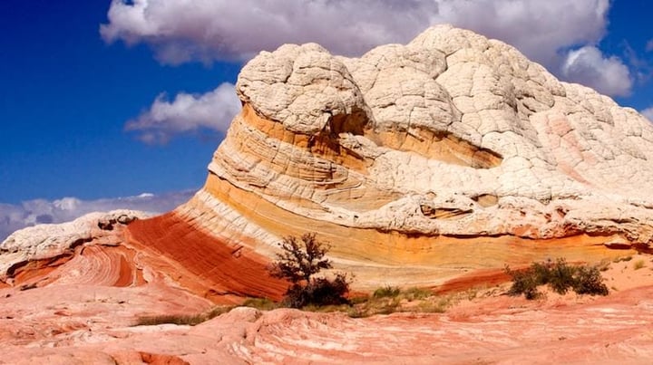 White Pockets - we have permission