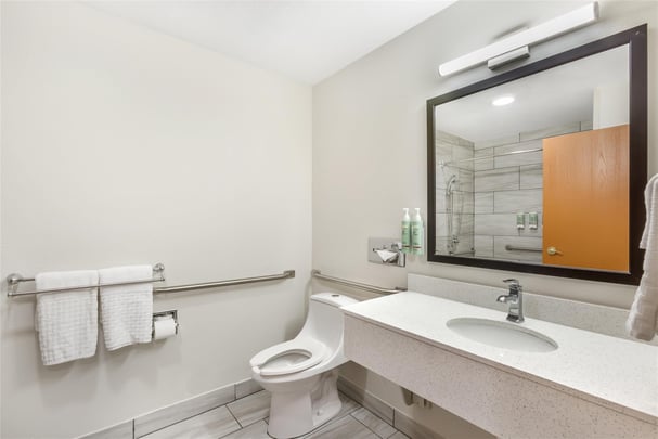 ADA - 1 King Bed w/ Roll In Shower