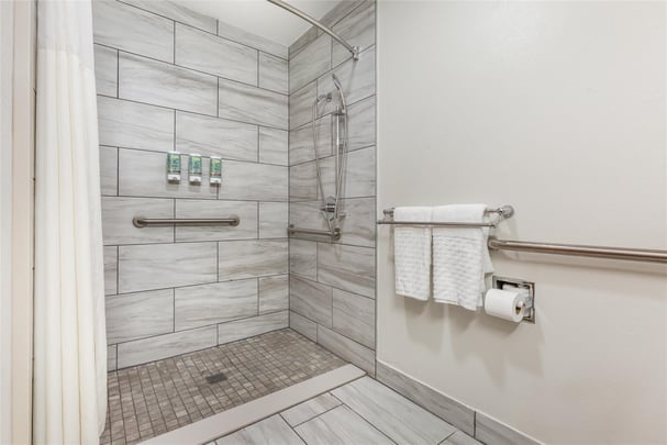 ADA - 1 King Bed w/ Roll In Shower