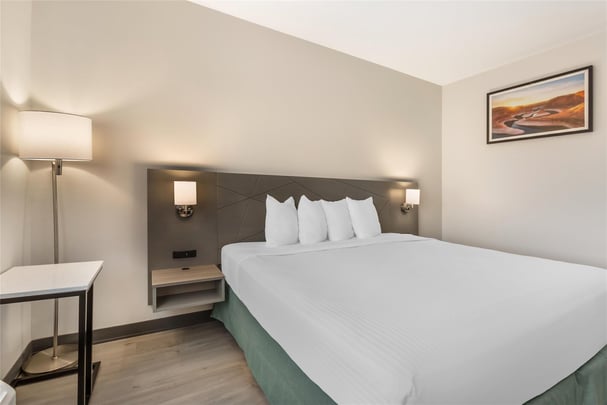 ADA - 1 King Bed w/ Roll In Shower