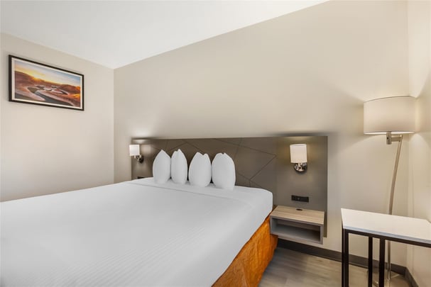 ADA - 1 King Bed w/ Bathtub