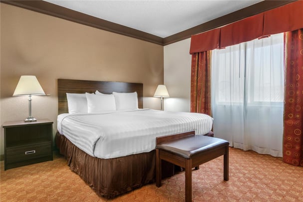 Suite - 1 King 2 Queens