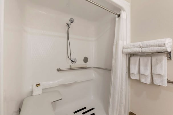 ADA Roll-in Shower