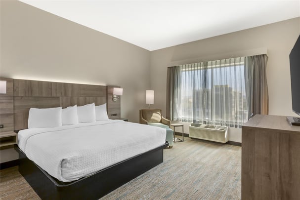 Suite - 1 King Bed w/ Sofabed, Patio, and Kitchenette