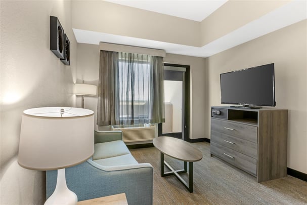 Suite - 1 King Bed w/ Sofabed, Patio, and Kitchenette