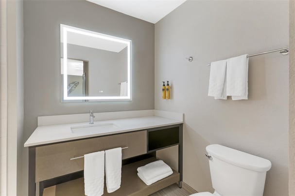 Suite - 1 King Bed w/ Sofabed, Patio, and Kitchenette