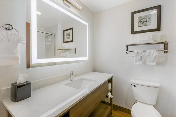 Suite - 1 King Bed w/ 2 TVs