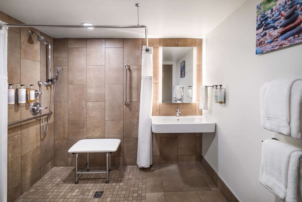 ADA Bathroom with Roll In Shower