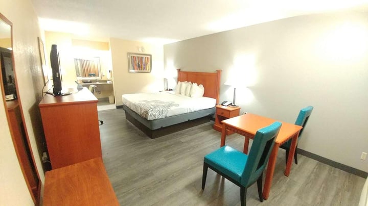 Single King Size Bed Pet Friendly Room