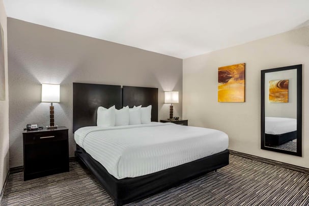 King Room w/ Work Desk