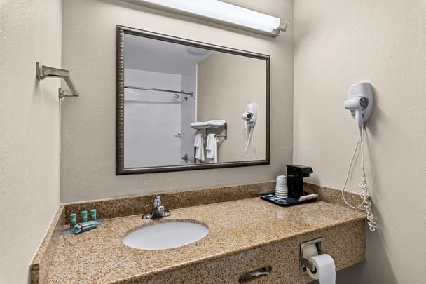 King Suite - Guest Bath