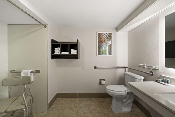 Accessible Roll-In Shower