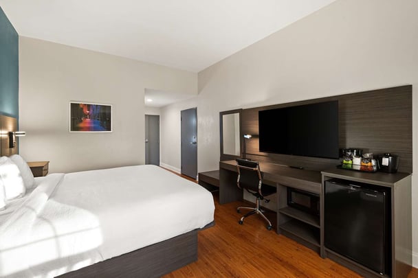 ADA King - Walk In Shower