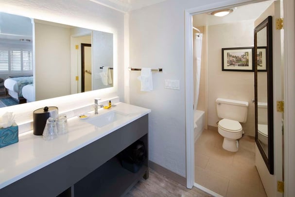 Deluxe Guest Room Vanity/Bath