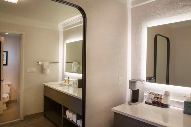 Deluxe Guest Room Vanity/Bath