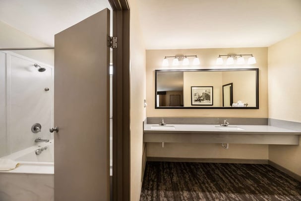 King with Sofa Bathroom