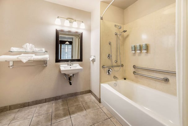 Queen Accessible Bathroom