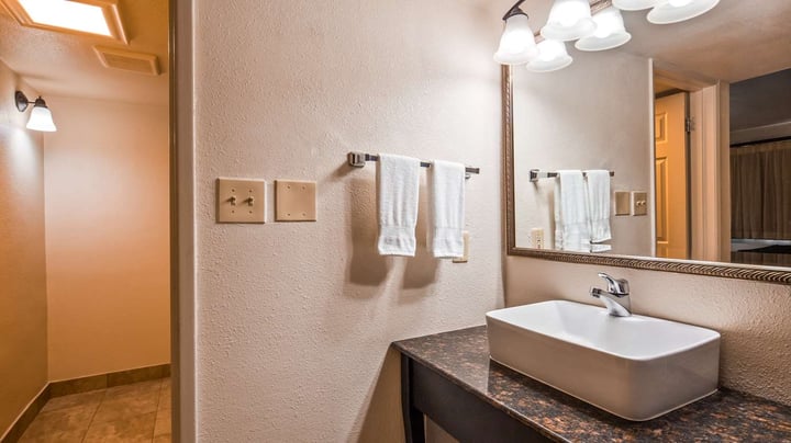 Deluxe Guestroom Bath/Vanity