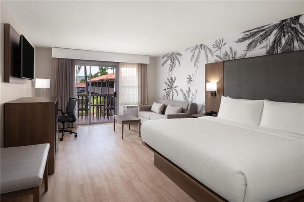 Guest Room King Bed Queen Sofa Bed