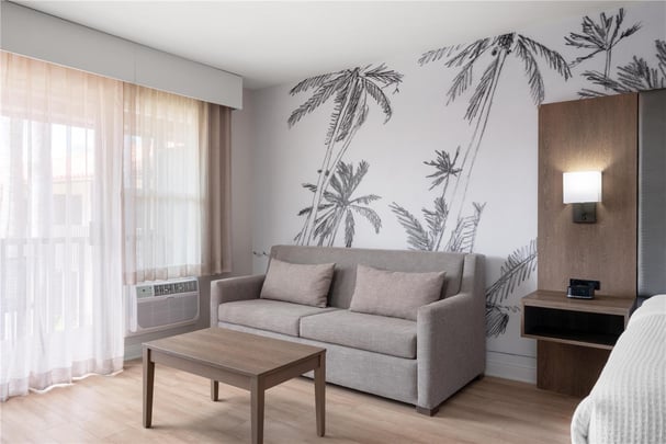 Guest Room King Bed Queen Sofa