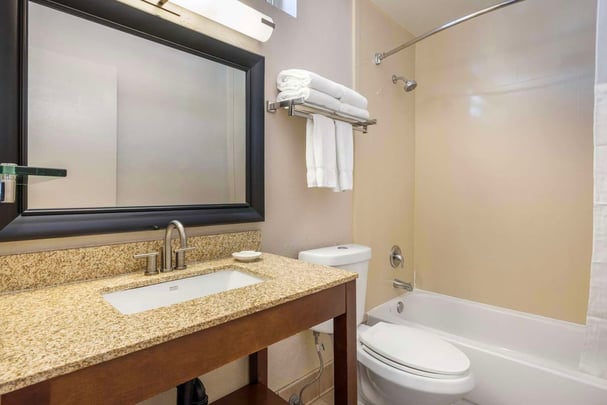 Suite Bathroom