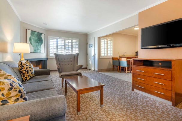 Suite Living Area and Kitchenette