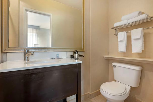 Queen Suite Bathroom