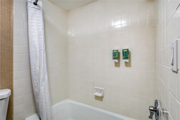 Queen Suite with Jacuzzi Bathroom